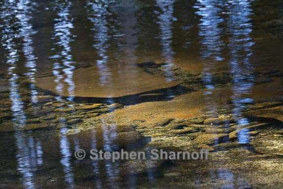 tuolumne river reflections 1 graphic